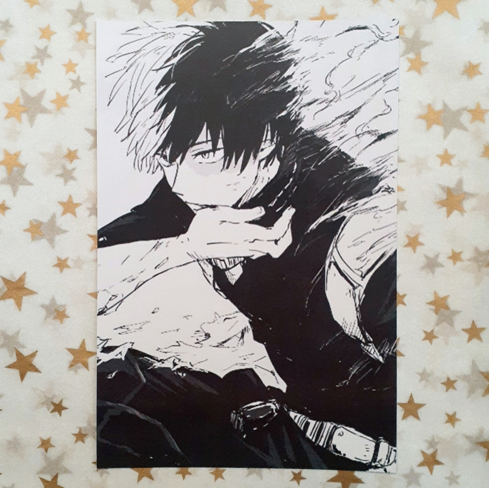 My Hero Academia: Todoroki Photo #2